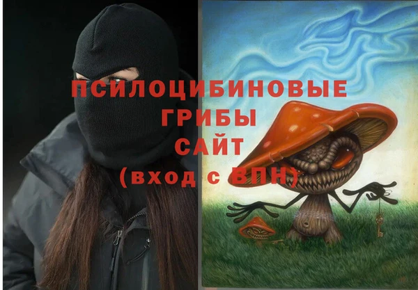 меф Медвежьегорск