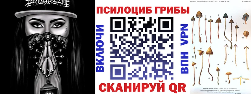 Галлюциногенные грибы мухоморы  где продают наркотики  Истра 