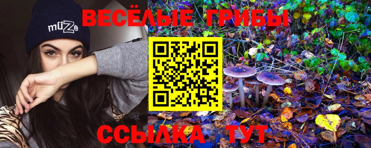 Кокаин  Вход с VPN  Истра  ГАШИШ  Меф МЯУ МЯУ   Alpha PVP СК  