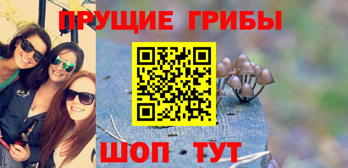 Галлюциногенные грибы Magic Shrooms Истра