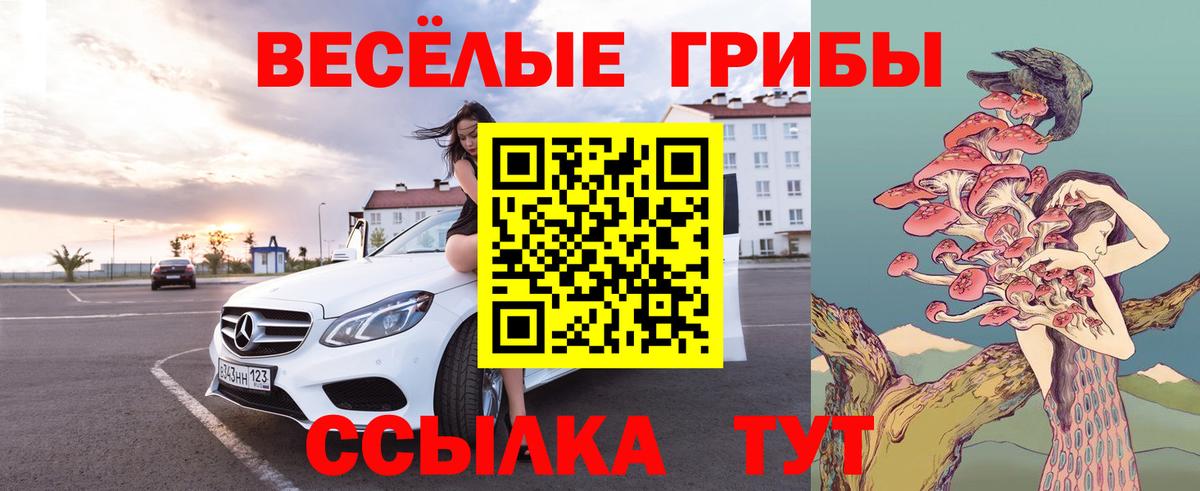 Истра  Галлюциногенные грибы мухоморы  Вход с VPN 